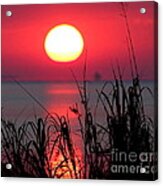 Day Is Done Acrylic Print