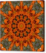 Daylily Orange Mandala Acrylic Print