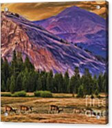 Dears Under Purple Mountins Acrylic Print