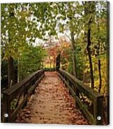 Decorate With Leaves - Holmdel Park Acrylic Print