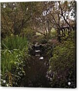 Descanso Gardens 2 Acrylic Print