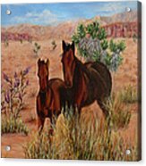 Desert Horses Acrylic Print