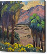Desert Marigolds At Andreas Canyon Acrylic Print