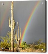 Desert Rainbow Acrylic Print