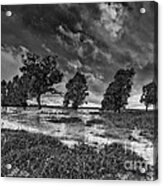 Desert Storm Acrylic Print