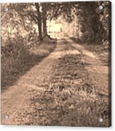 Dirt Road Moultrie Georgia Acrylic Print