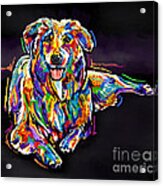 Dog-multi-color Acrylic Print