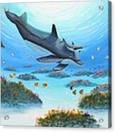 Dolphen Moves Acrylic Print