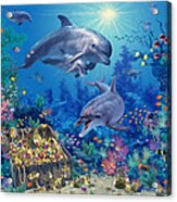 Dolphin Family Variant Acrylic Print