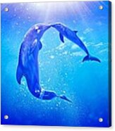 Dolphin Tale 2 Acrylic Print
