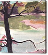 Donovan's Lake Acrylic Print