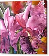 Double Cattleya Orchid Acrylic Print