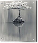 Dreamy Acrylic Print