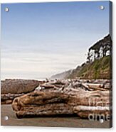 Drift Logs Tossed Like Pick-up Sticks Upon Pacific Coast Beach Acrylic Print