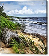 Driftwood By The Sea Acrylic Print