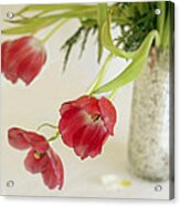 Drooping Tulips Acrylic Print