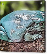 00014 Dumpy Tree Frog Acrylic Print