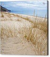 Dune Grass On Lake Michigan Acrylic Print