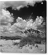 Dunes Acrylic Print