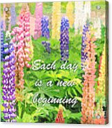 Each Day Is A New Beginning Colorful Lupine Flowers Acrylic Print