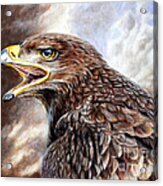 Eagle Cry Acrylic Print