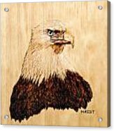 Eagle Acrylic Print