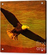 Eagle Spirit Acrylic Print