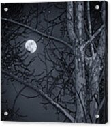 Early Moon In Black And White Acrylic Print
