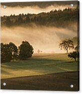 Early Morning Fog Lit By The Sunrise In Acrylic Print