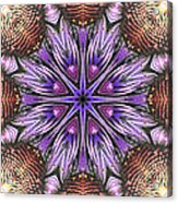 Echinacea Flower Mandala Acrylic Print