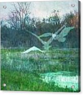 Egret In Retreat Acrylic Print