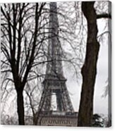 Eiffel Tower 4 Acrylic Print