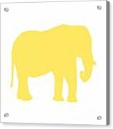 Elephant In Yellow And White Acrylic Print