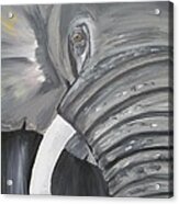 Elephant Acrylic Print