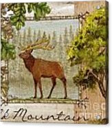 Elk Mountain Acrylic Print