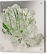 Emerald In Ice Acrylic Print