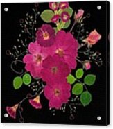 Enchanted Garden Pressed Flower Roses - Night Acrylic Print
