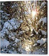 Enchanted Winter Acrylic Print