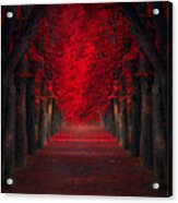 Endless Passion Acrylic Print