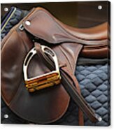 English Saddle Acrylic Print