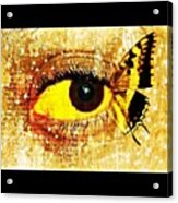 #eye #butterfly #brown #black #edit Acrylic Print