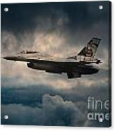 F16 Tiger Acrylic Print