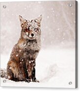 Fairytale Fox _ Red Fox In A Snow Storm Acrylic Print