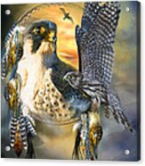 Falcon Dreams Acrylic Print