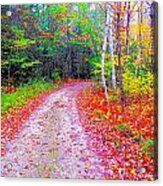 Fall 2014 Y281 Acrylic Print