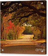 Fall Along A Country Road Acrylic Print