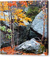 Fall Among The Rocks Acrylic Print