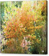 Fall Foliage Acrylic Print