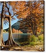 Fall In The Texas Hill Country Acrylic Print