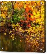 Fall Reflection Acrylic Print